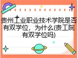 贵州工业职业技术学院是否有双学位，为什么(贵工院有双学位吗)
