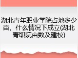 湖北青年职业学院占地多少亩，什么情况下成立(湖北青职院亩数及建校)