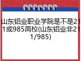 山东铝业职业学院是不是211或985高校(山东铝业非211/985)