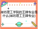 潍坊理工学院的王牌专业是什么(潍坊理工王牌专业)