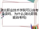 湖北职业技术学院可以自考去读吗，为什么(湖北职院能自考吗)