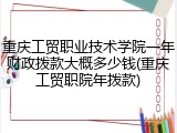 重庆工贸职业技术学院一年财政拨款大概多少钱(重庆工贸职院年拨款)