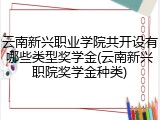 云南新兴职业学院共开设有哪些类型奖学金(云南新兴职院奖学金种类)