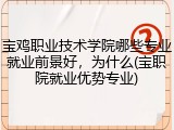 宝鸡职业技术学院哪些专业就业前景好，为什么(宝职院就业优势专业)
