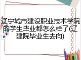辽宁城市建设职业技术学院的学生毕业都怎么样了(辽建院毕业生去向)
