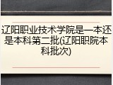 辽阳职业技术学院是一本还是本科第二批(辽阳职院本科批次)