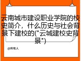 云南城市建设职业学院的校史简介，什么历史与社会背景下建校的("云城建校史背景")
