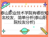 泰山职业技术学院有哪些知名校友，简单分析(泰山职院校友分析)
