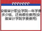 安徽审计职业学院一年学费多少钱，还有哪些费用(安徽审计学院学费费用)