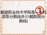鹤壁职业技术学院是一本吗录取分数线多少(鹤职院分数线)