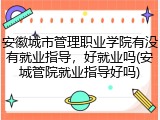 安徽城市管理职业学院有没有就业指导，好就业吗(安城管院就业指导好吗)