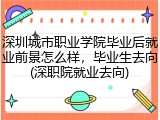 深圳城市职业学院毕业后就业前景怎么样，毕业生去向(深职院就业去向)