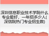 深圳信息职业技术学院什么专业最好，一年招多少人(深信院热门专业招生数)