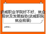 武威职业学院好不好，就业现状及发展趋势(武威职院就业前景)