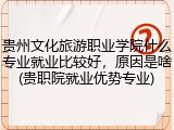贵州文化旅游职业学院什么专业就业比较好，原因是啥(贵职院就业优势专业)