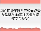 枣庄职业学院共开设有哪些类型奖学金(枣庄职业学院奖学金类型)