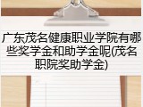 广东茂名健康职业学院有哪些奖学金和助学金呢(茂名职院奖助学金)