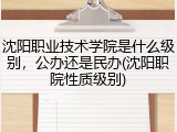 沈阳职业技术学院是什么级别，公办还是民办(沈阳职院性质级别)