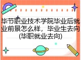 毕节职业技术学院毕业后就业前景怎么样，毕业生去向(毕职就业去向)
