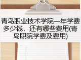 青岛职业技术学院一年学费多少钱，还有哪些费用(青岛职院学费及费用)