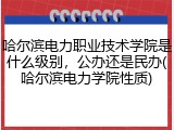哈尔滨电力职业技术学院是什么级别，公办还是民办(哈尔滨电力学院性质)