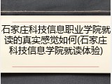 石家庄科技信息职业学院就读的真实感觉如何(石家庄科技信息学院就读体验)