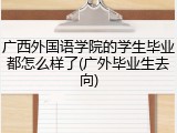 广西外国语学院的学生毕业都怎么样了(广外毕业生去向)