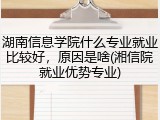 湖南信息学院什么专业就业比较好，原因是啥(湘信院就业优势专业)