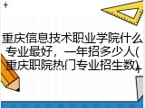 重庆信息技术职业学院什么专业最好，一年招多少人(重庆职院热门专业招生数)