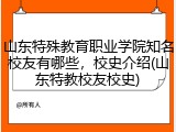 山东特殊教育职业学院知名校友有哪些，校史介绍(山东特教校友校史)