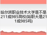 哈尔滨职业技术大学是不是211或985高校(哈职大是211或985吗)