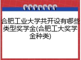 合肥工业大学共开设有哪些类型奖学金(合肥工大奖学金种类)