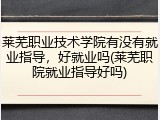 莱芜职业技术学院有没有就业指导，好就业吗(莱芜职院就业指导好吗)