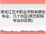黑龙江艺术职业学院有哪些专业，几个校区(黑艺职院专业校区数)