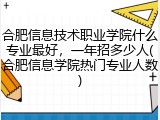 合肥信息技术职业学院什么专业最好，一年招多少人(合肥信息学院热门专业人数)