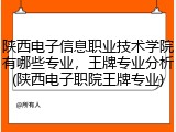 陕西电子信息职业技术学院有哪些专业，王牌专业分析(陕西电子职院王牌专业)