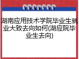 湖南应用技术学院毕业生就业大致去向如何(湖应院毕业生去向)