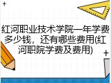 红河职业技术学院一年学费多少钱，还有哪些费用(红河职院学费及费用)