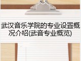 武汉音乐学院的专业设置概况介绍(武音专业概览)