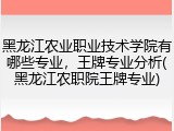 黑龙江农业职业技术学院有哪些专业，王牌专业分析(黑龙江农职院王牌专业)
