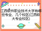 江西软件职业技术大学有哪些专业，几个校区(江西软大专业校区)