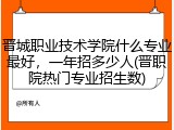 晋城职业技术学院什么专业最好，一年招多少人(晋职院热门专业招生数)
