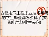 安徽电气工程职业技术学院的学生毕业都怎么样了(安徽电气毕业生去向)