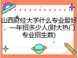 山西财经大学什么专业最好，一年招多少人(财大热门专业招生数)