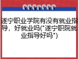 遂宁职业学院有没有就业指导，好就业吗("遂宁职院就业指导好吗")