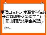 平顶山文化艺术职业学院共开设有哪些类型奖学金(平顶山职院奖学金类型)