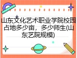山东文化艺术职业学院校园占地多少亩，多少师生(山东艺院规模)