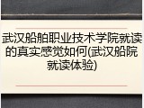 武汉船舶职业技术学院就读的真实感觉如何(武汉船院就读体验)