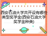 西安石油大学共开设有哪些类型奖学金(西安石油大学奖学金种类)