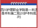 四川护理职业学院是一本还是本科第二批(川护本科批次)